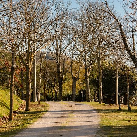 Agriturismo Le Cerque コッラッツォーネ エクステリア 写真
