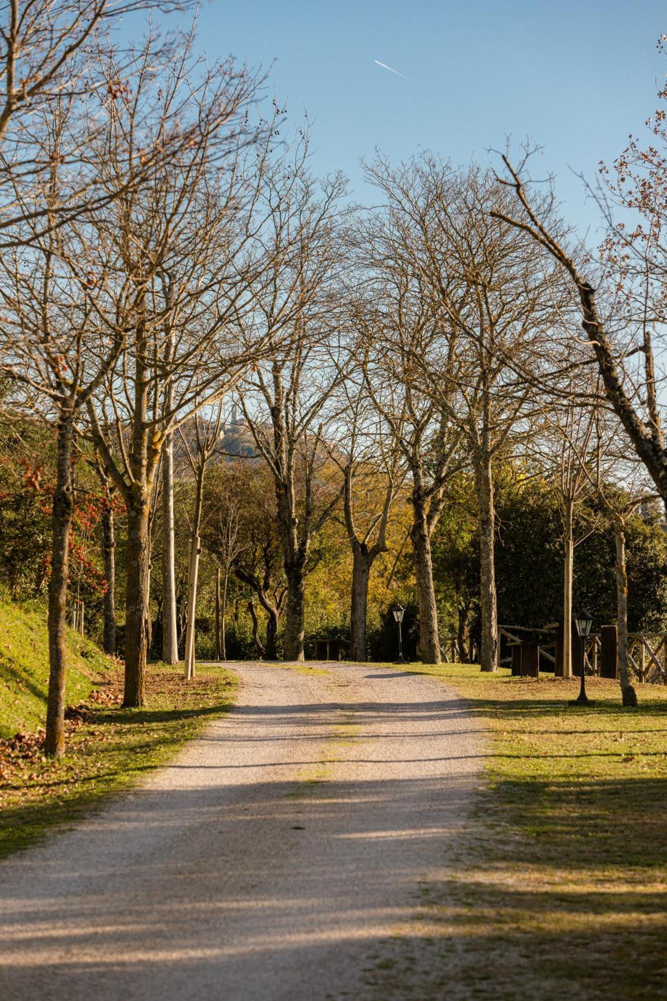 Agriturismo Le Cerque コッラッツォーネ エクステリア 写真