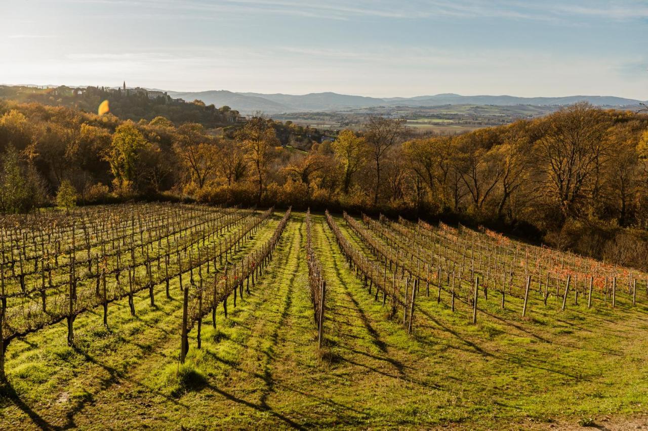Agriturismo Le Cerque コッラッツォーネ エクステリア 写真