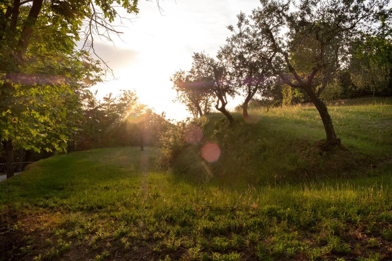 Agriturismo Le Cerque コッラッツォーネ エクステリア 写真